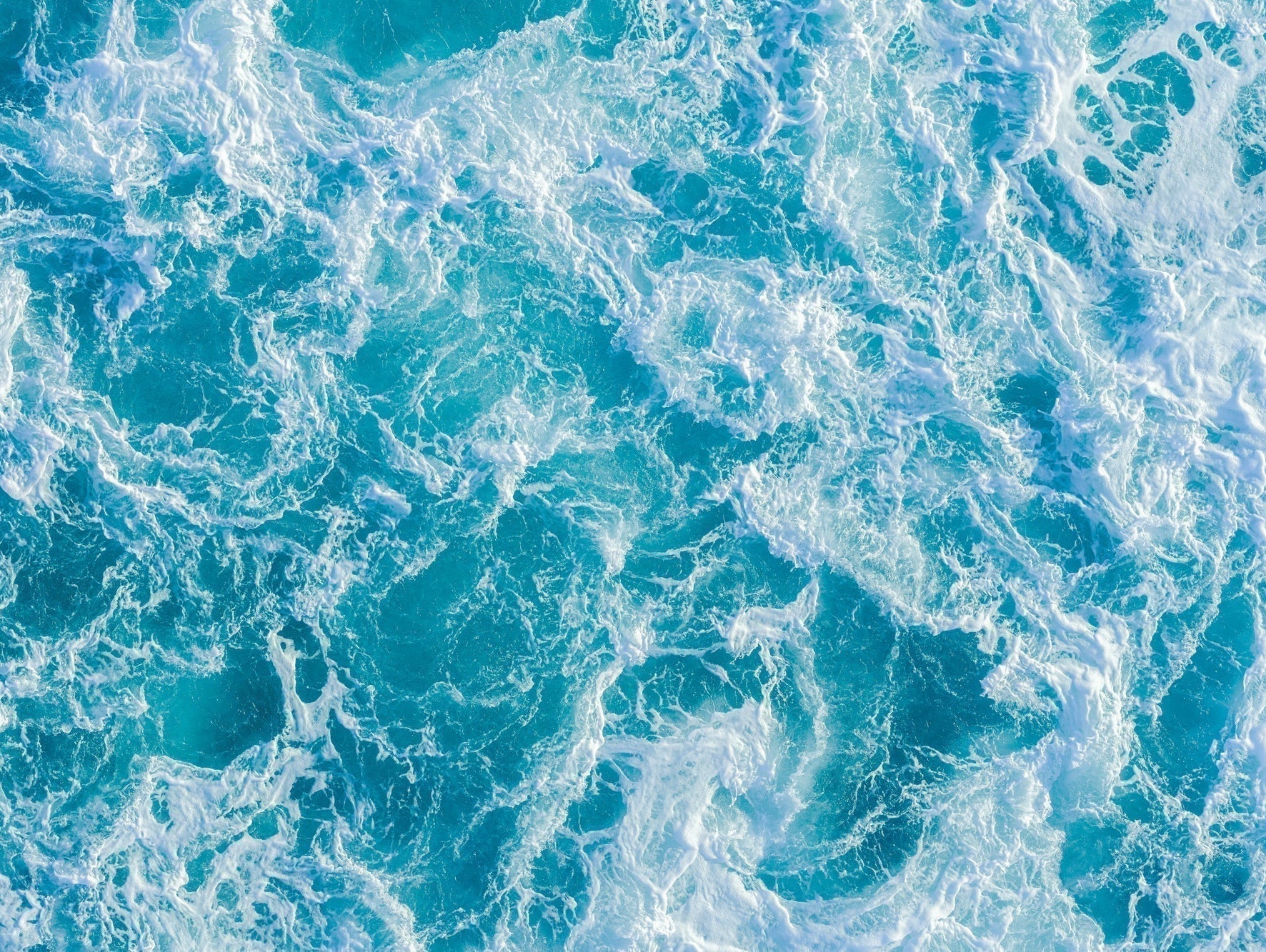 海からのSOSに応える、私たちの小さな一歩