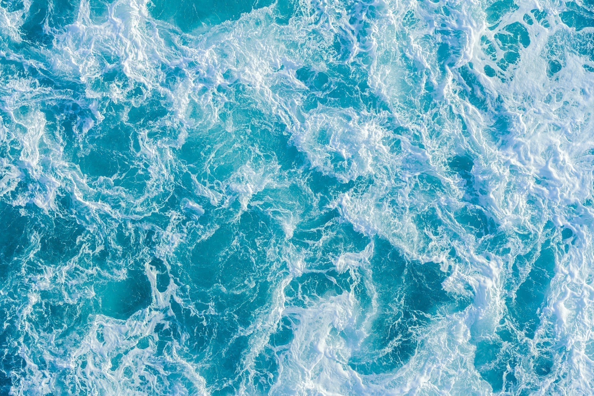 海からのSOSに応える、私たちの小さな一歩